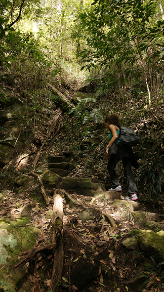 blue-mountains-15-copia