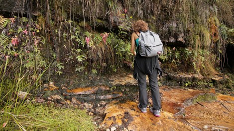 blue-mountains-21-copia