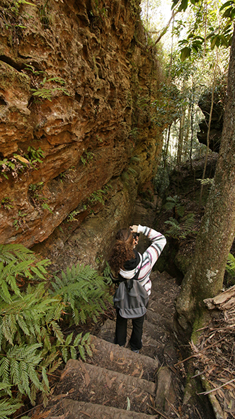 blue-mountains-3-copia