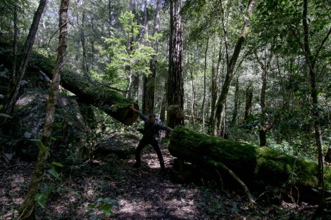 blue-mountains-8-copia