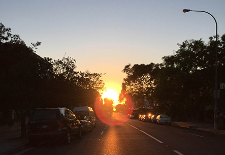 orange-windsor-1-copia