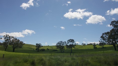 orange-windsor-13-copia