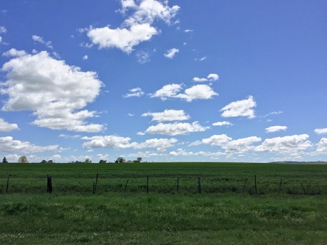 orange-windsor-15-copia