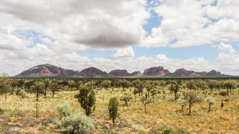 kata-tijuta-4