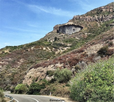 IMG_7677_Snapseed_new