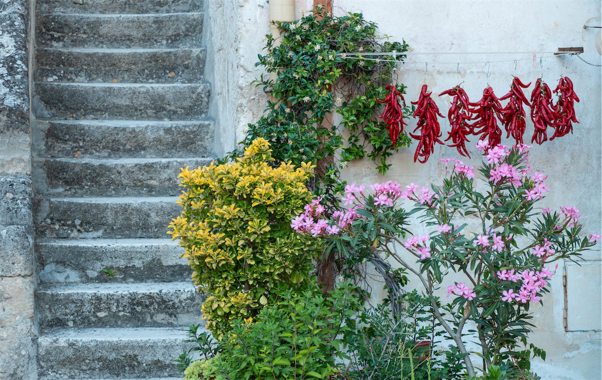 matera capitale della cultura