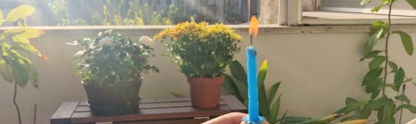 saggezza da compleanno