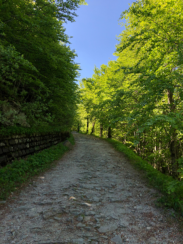 Parco del Corno alle Scale
