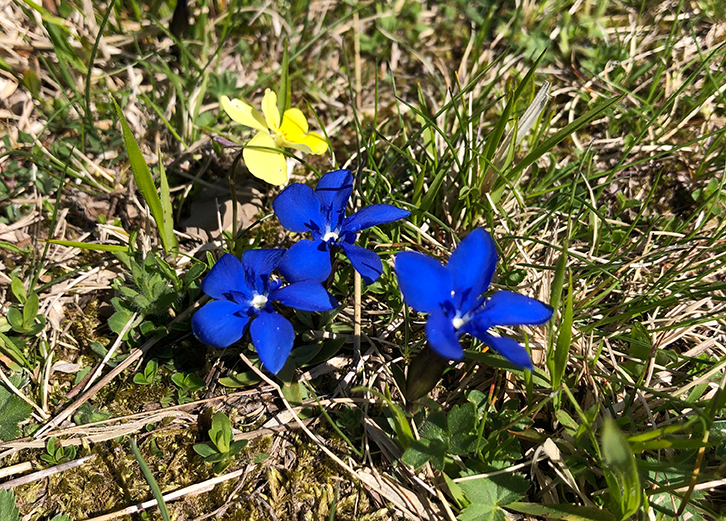 parco del corno alle scale