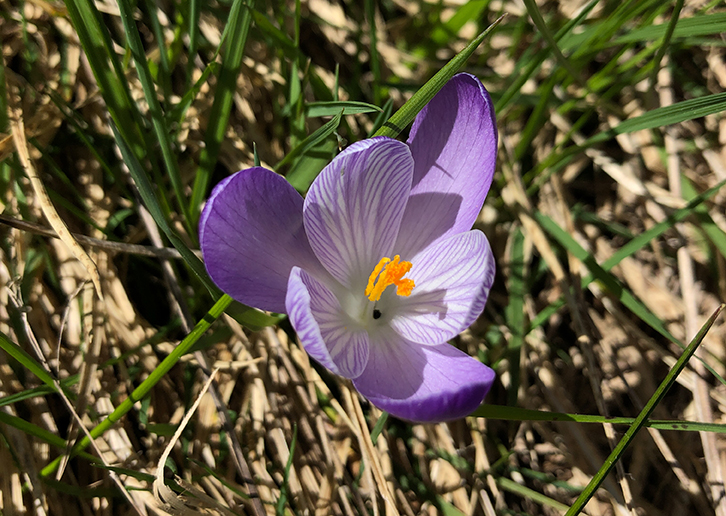 parco del corno alle scale