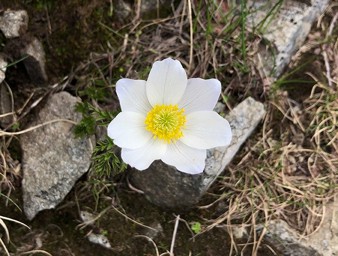 parco del corno alle scale
