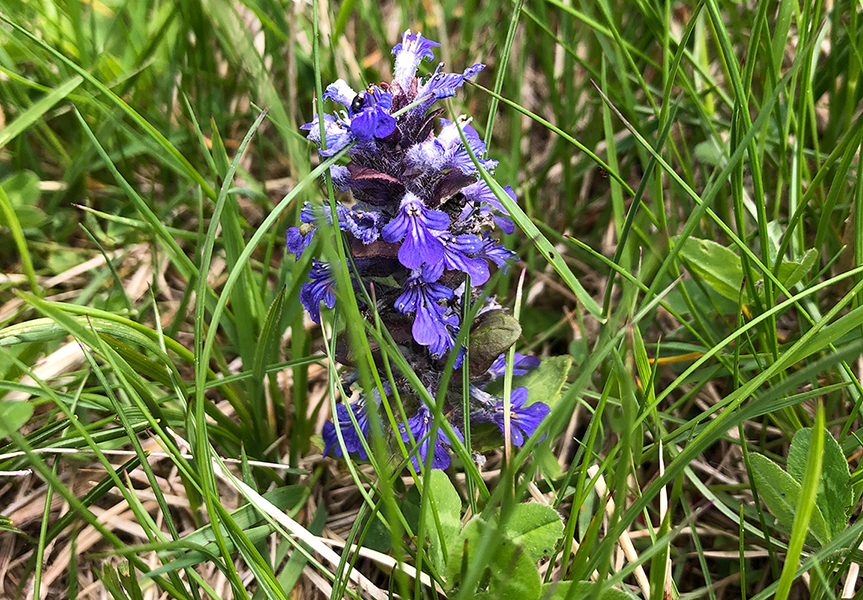 parco del corno alle scale
