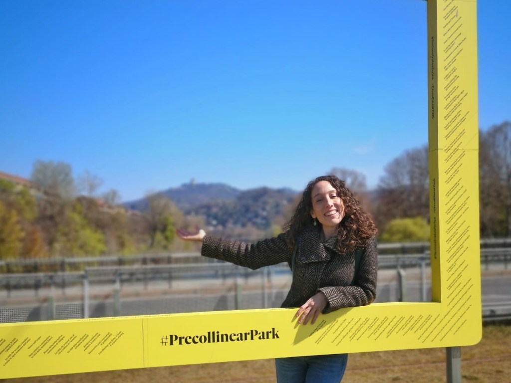 precollinear park torino visioni