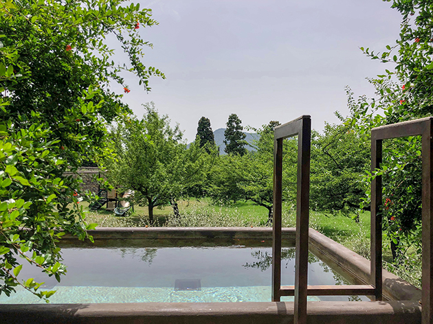 WEEK END NEI COLLI EUGANEI?