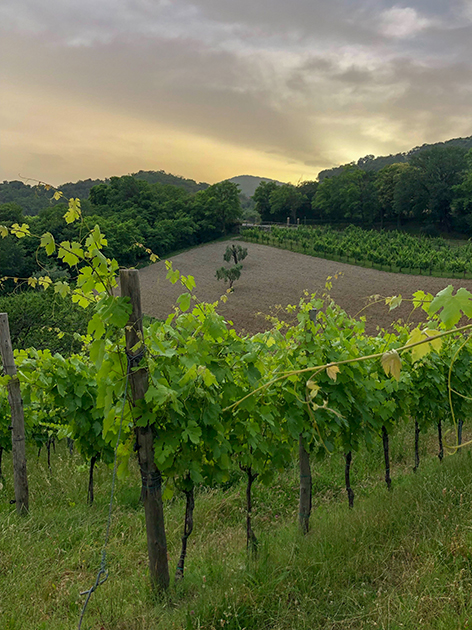 week end nei colli euganei