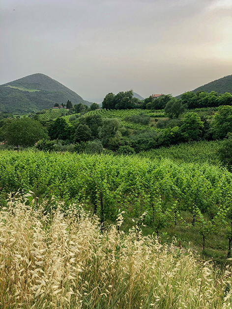 week end nei colli euganei