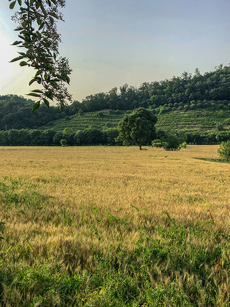 week end nei colli euganei