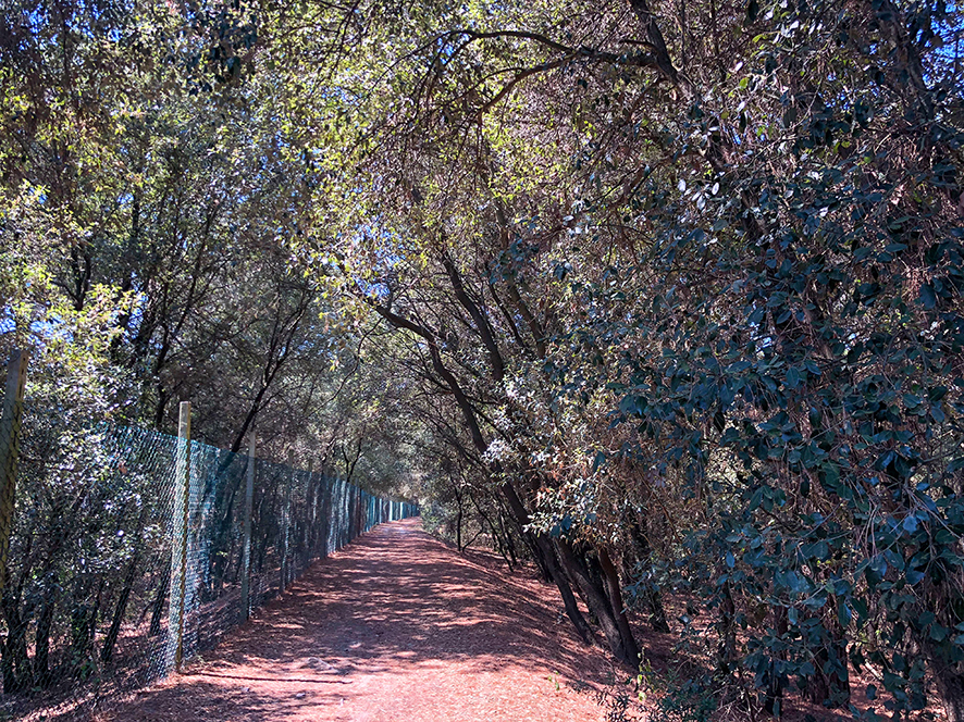 Un week end in bici lungo la destra Po
