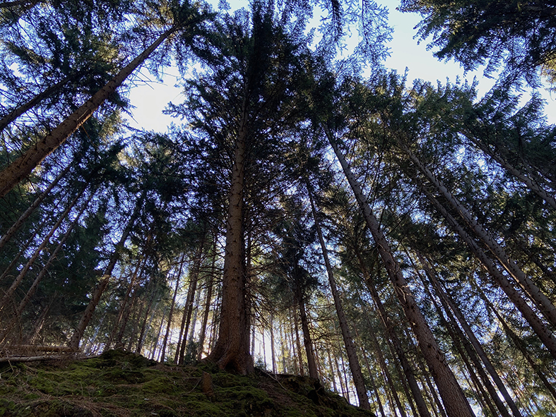 WEEK END A ISSENGO IN VAL PUSTERIA