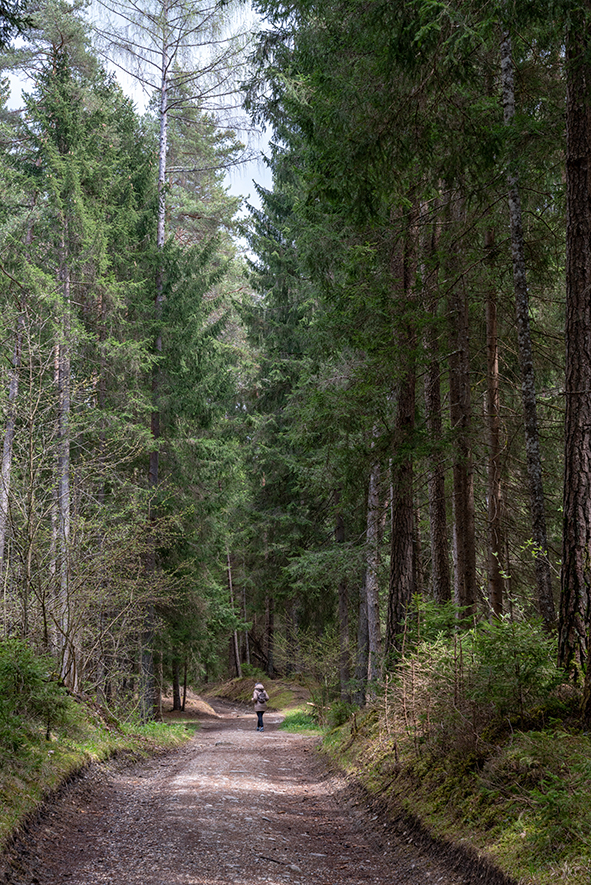 WEEK END A ISSENGO IN VAL PUSTERIA