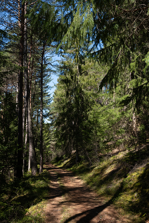 WEEK END A ISSENGO IN VAL PUSTERIA