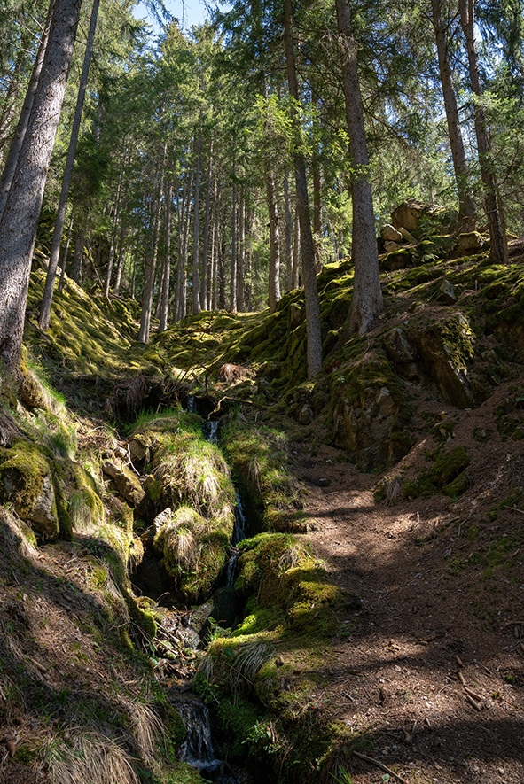 WEEK END A ISSENGO IN VAL PUSTERIA