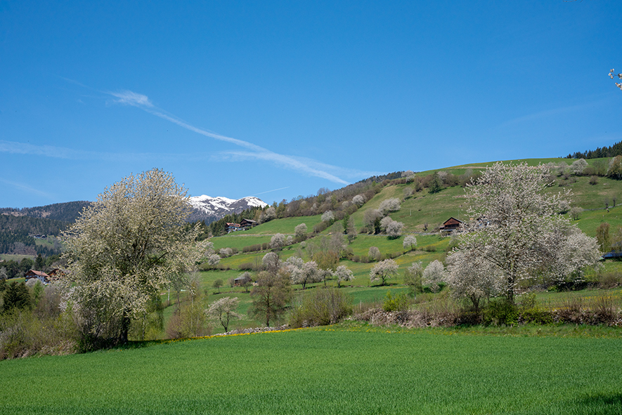 WEEK END A ISSENGO IN VAL PUSTERIA