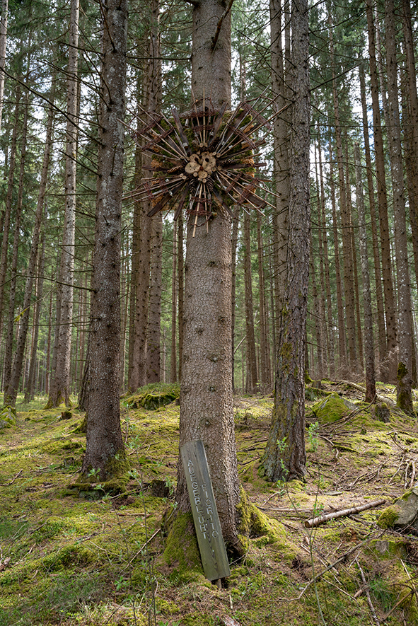 WEEK END A ISSENGO IN VAL PUSTERIA