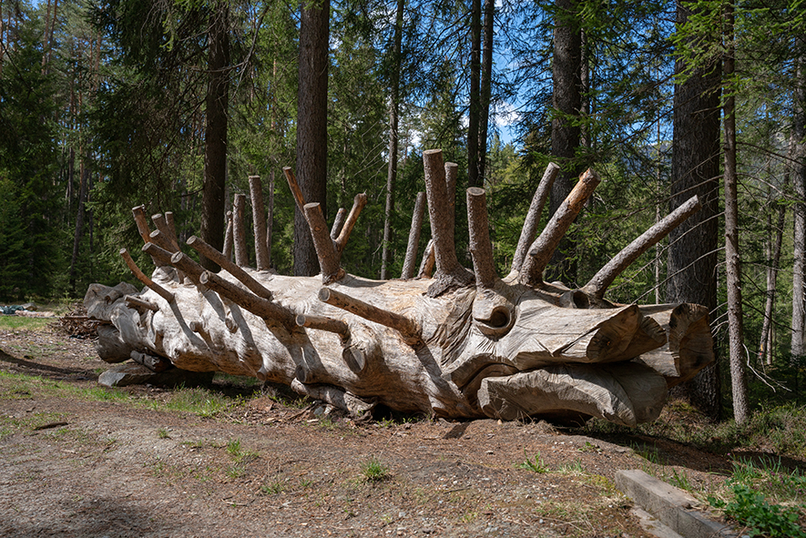 WEEK END A ISSENGO IN VAL PUSTERIA