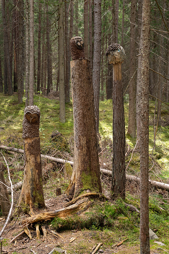 WEEK END A ISSENGO IN VAL PUSTERIA