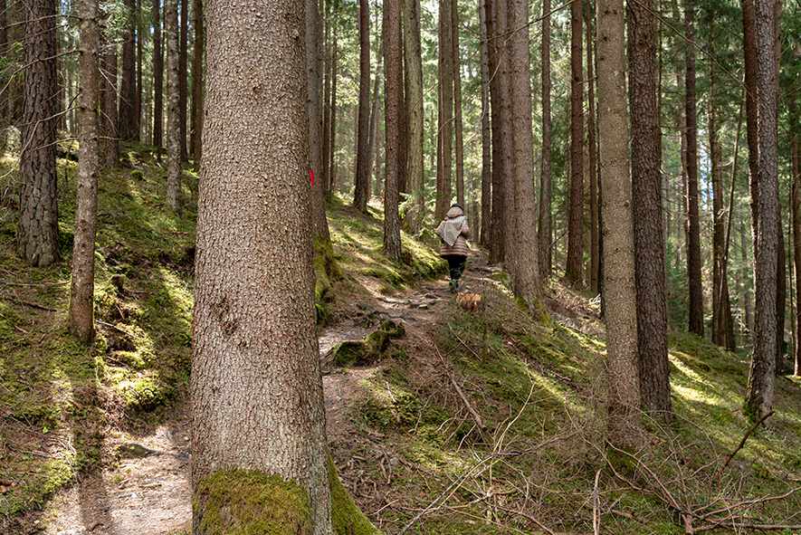 WEEK END A ISSENGO IN VAL PUSTERIA