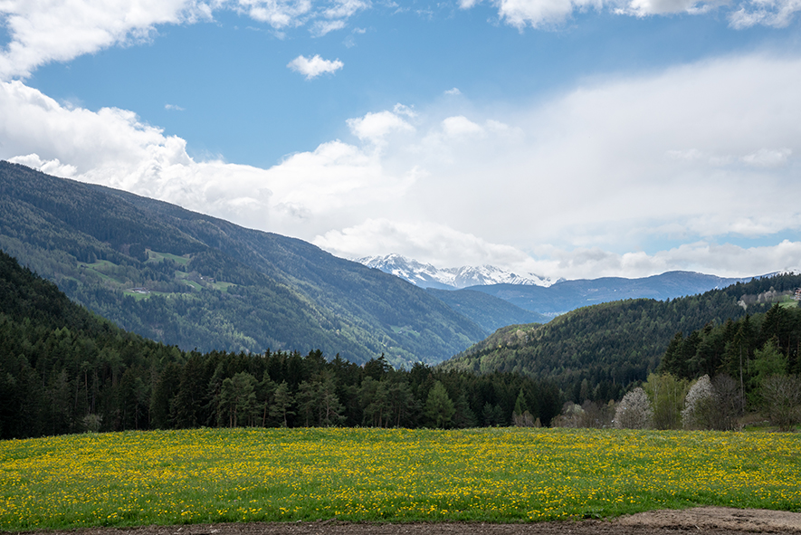 WEEK END A ISSENGO IN VAL PUSTERIA