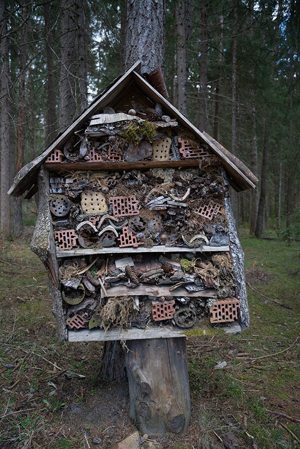 WEEK END A ISSENGO IN VAL PUSTERIA