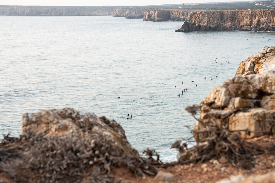 viaggio nel sud del portogallo