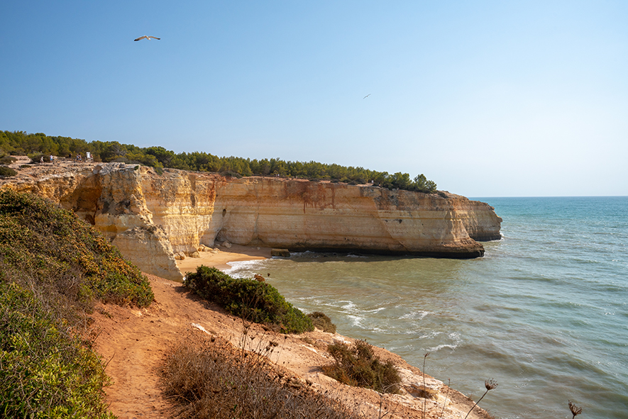 cosa fare in algarve