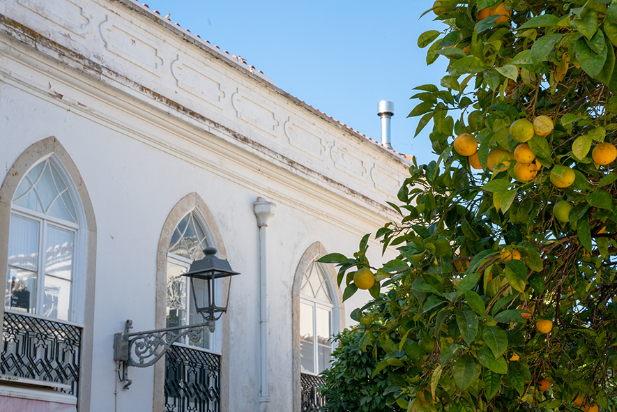 viaggio nel sud del portogallo