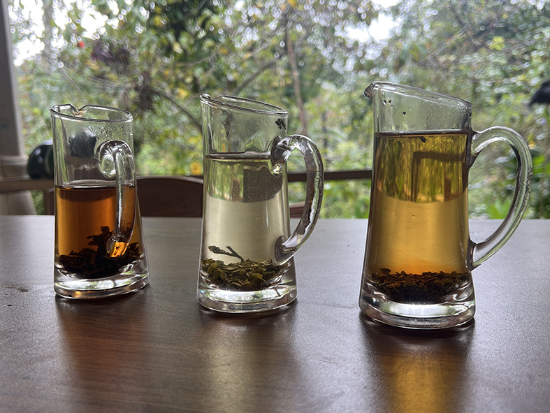 sri lanka itinerario