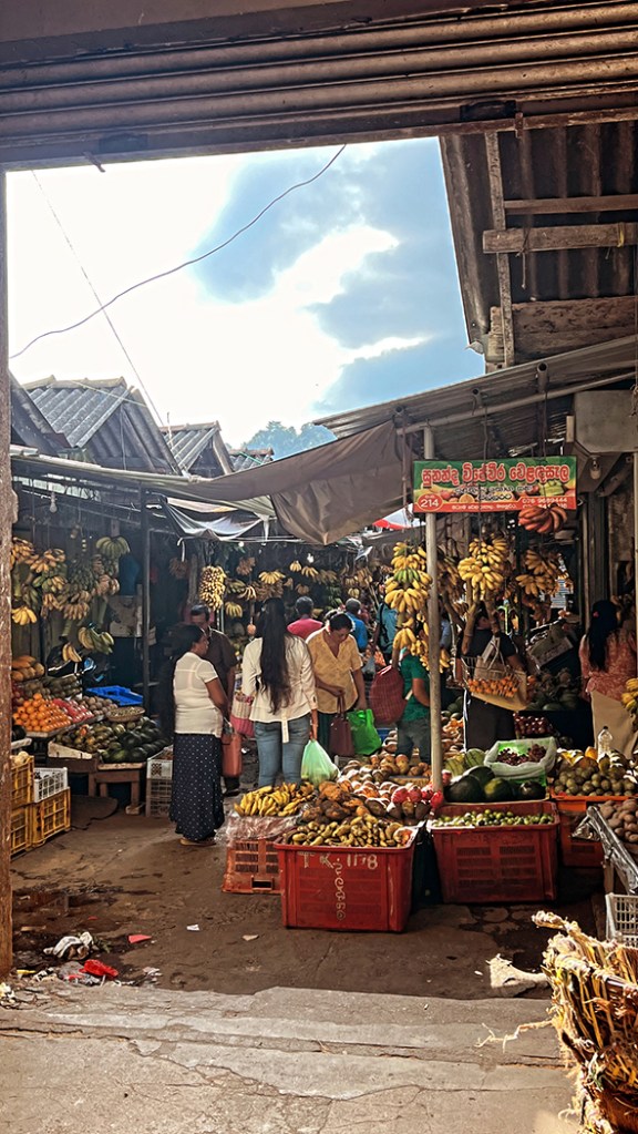 sri lanka itinerario