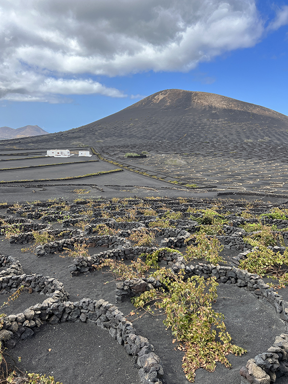 lanzarote La Geria