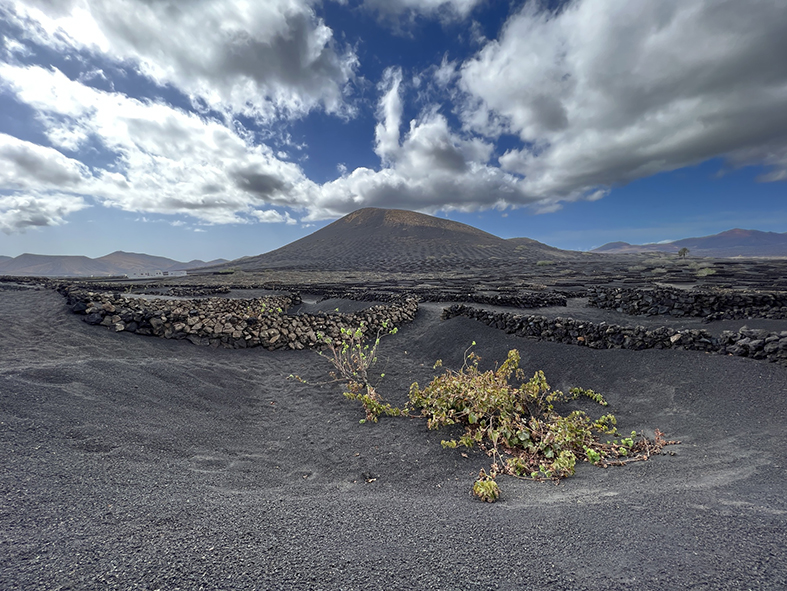 lanzarote La Geria