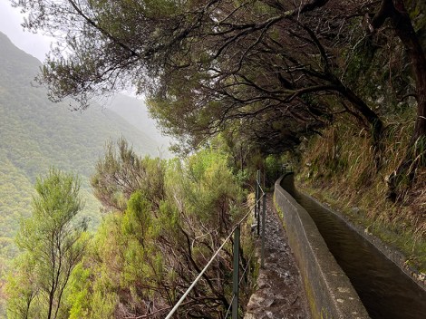 Madeira in inverno