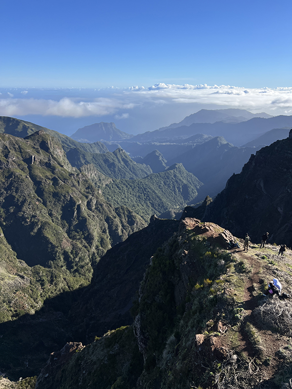 Madeira in inverno