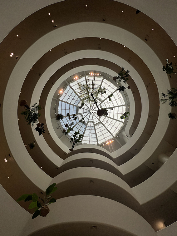 Itinerario di 8 giorni a New York: il nostro viaggio giorno per giorno